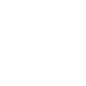 Celmatix Logo R White