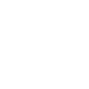 Neocortex Logo R White