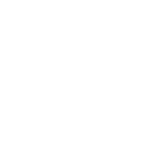 PriceSpider Logo R White
