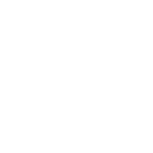 Webshop Logo R White